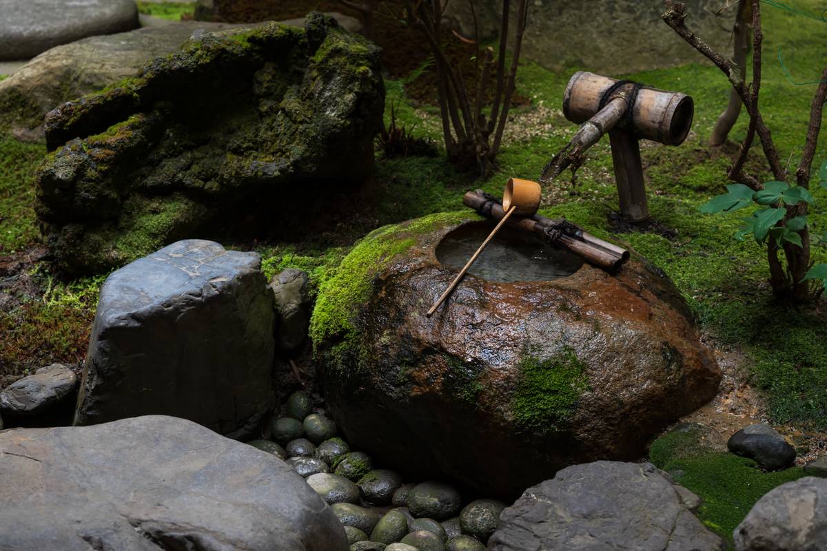 Matcha and traditional tea ceremony tools at Maikoya Kyoto