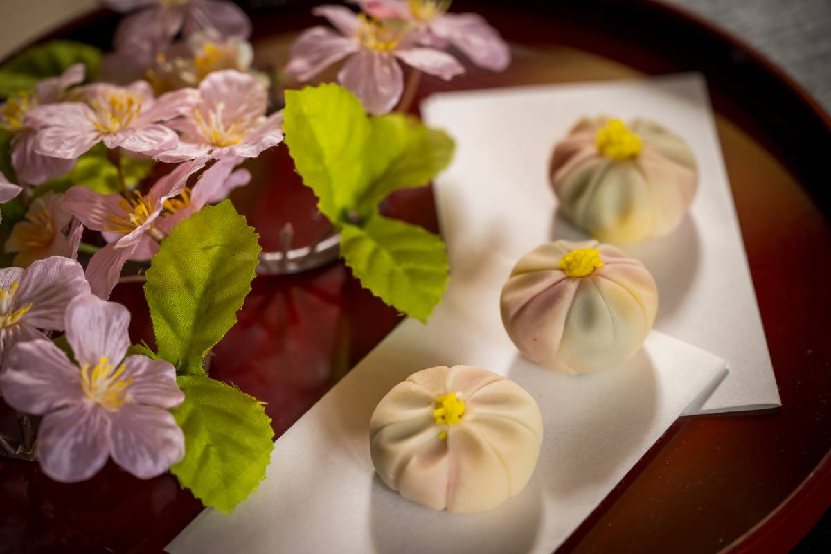Wagashi sweets making and tea ceremony at MAIKOYA Karasuma