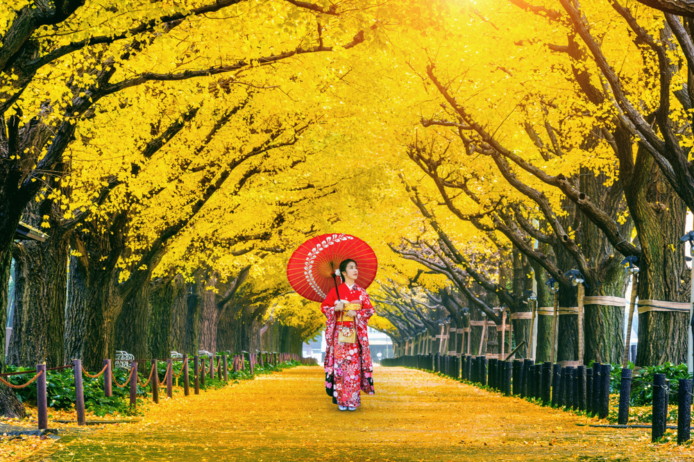 50 Best Things to Do in Japan: 2025 Must-See Attractions! - MAIKOYA